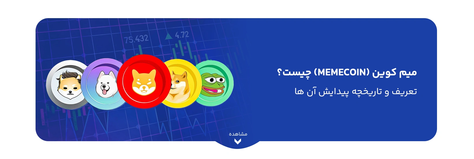 what-is-meme-coin